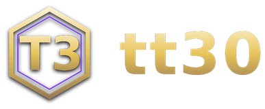 tt30 logo